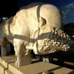 Bull of Oeoi